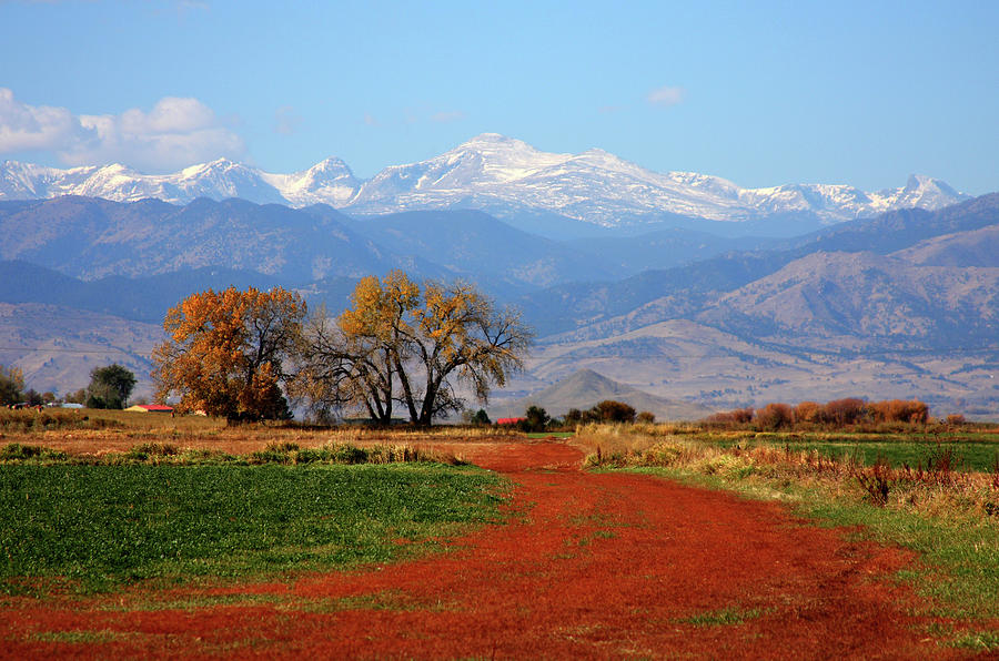 Colorado Fall Color Forecast 2025: When & Where to See the Best Views