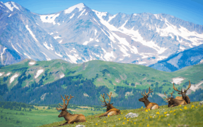 Boulder vs Erie vs Jamestown Which Colorado Town Fits Your Lifestyle