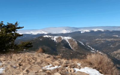 A Friendly Guide to Mountain Living in Sugarloaf Colorado