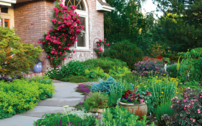 Xeriscaping Incentives: Boulder’s Water-Wise Rebate Programs Explained